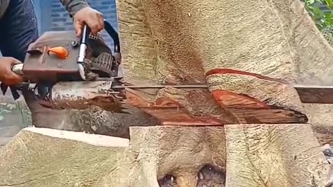 Amazing cutting tree: awesome skil