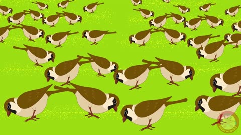 new catoon videos hindi cartoons for kids, creadit go to real owners