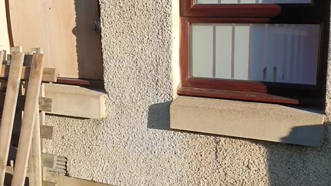 Criminal Landlords Protected with Police Scotland.
