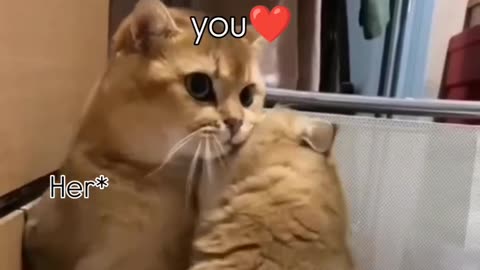 When she's angry but still cares about you