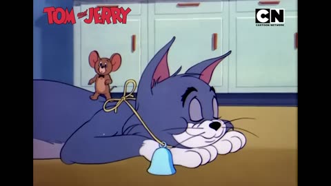 Funny Tom and Jerry_ Nibbles to the Rescue!