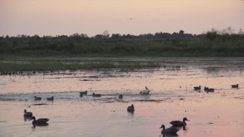 How to Judge Distance Waterfowl Hunting - Inside the Blind