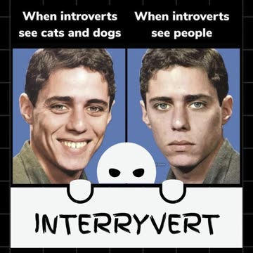 Why Introverts Act Completely Different Around Pets vs People?