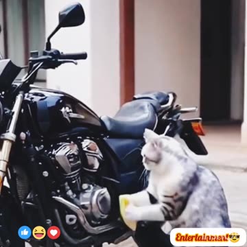 Viral🔥🔥 funny😝😝 comedy🤣🤣