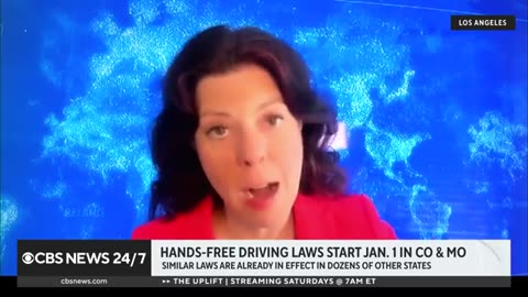 Breaking down the new laws set to take effect in 2025 across the u.s