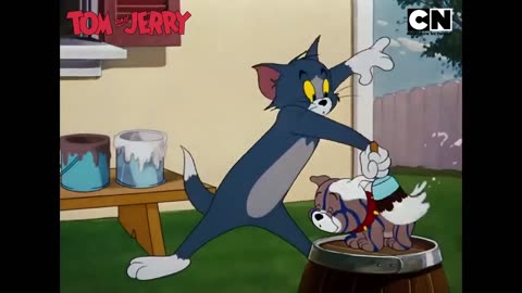 Funny Tom _ Jerry’s -Yacht Mayhem