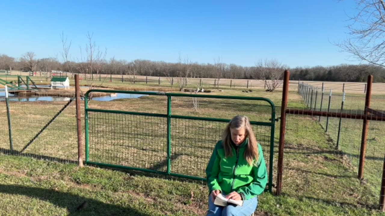 Morning Prayer, Daily Office
