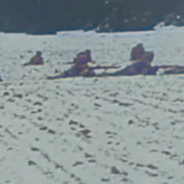 68 ⚔️ In gaming, if the enemy is too cautious, then press harder