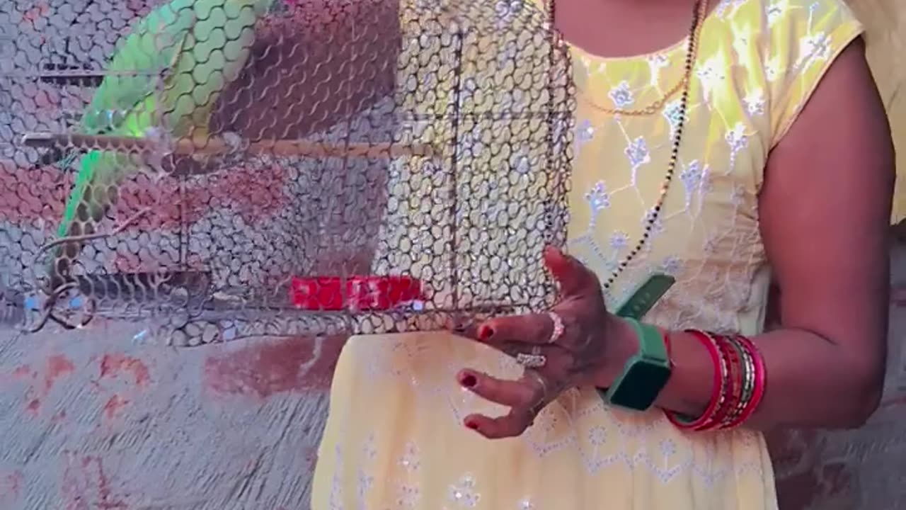Ek Daal Par Tota Ek Dal per Maina