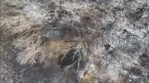 Ukrainian soldier surrendered.