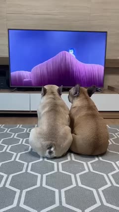 Dogs Heartbreaking Reactions to Saddest Movie Scene