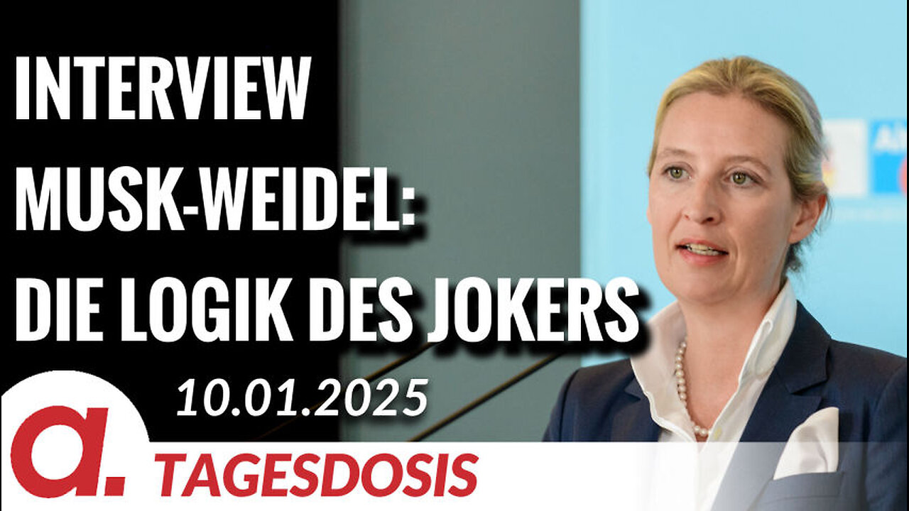 Interview Musk-Weidel: Die Logik des Jokers | Von Paul Clemente