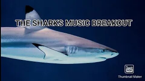 THE SHARKS. MUSIC BREAKOUT