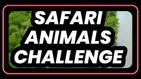 Safari Animals