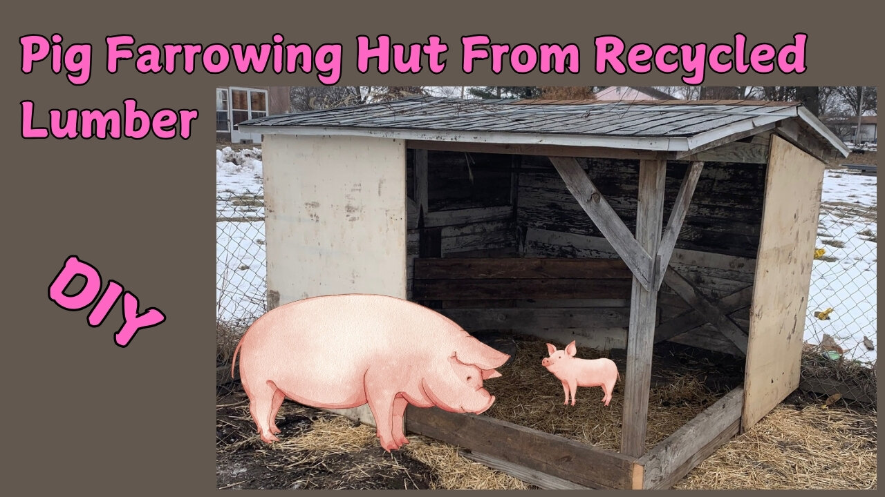 Pig Hut Improvements