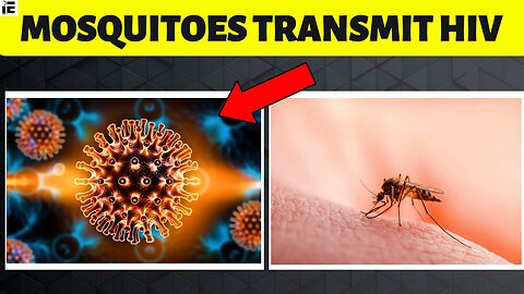 Can Mosquitoes Transmit HIV? Here's the Answer!