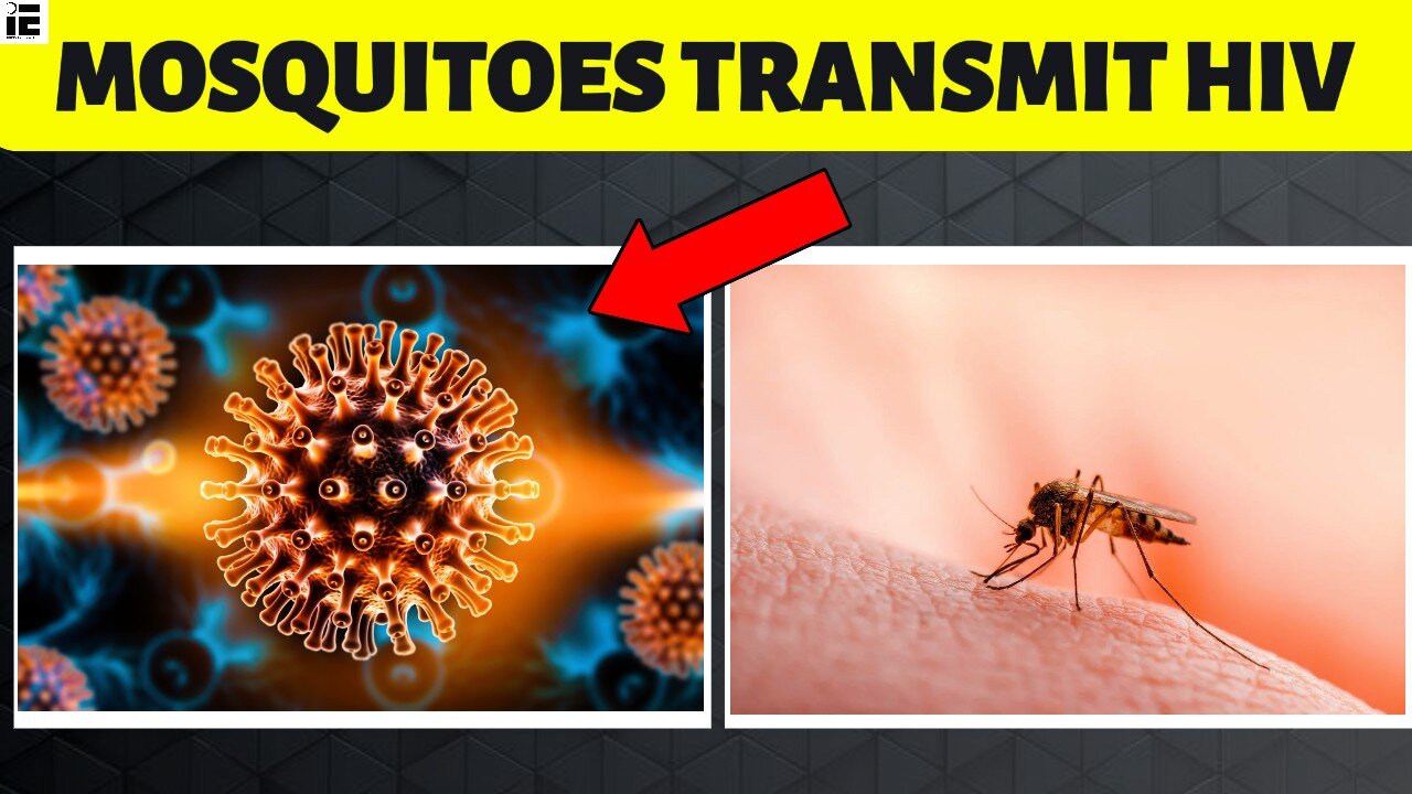 Can Mosquitoes Transmit HIV? Here's the Answer!