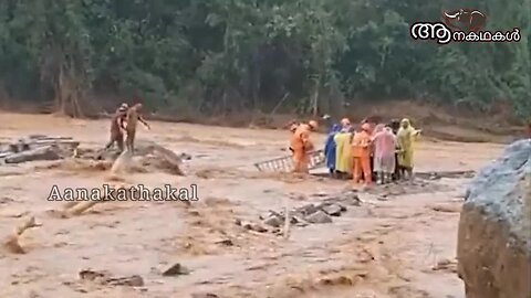 കാട്ടാനകളുടെ സാനിധ്യം പലരുടെയും ജീവൻ രക്ഷിച്ചു _ Wild elephant help in wayanad _Wayanad flood 2024