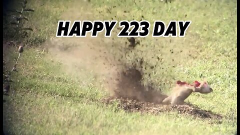 Happy 223 day!