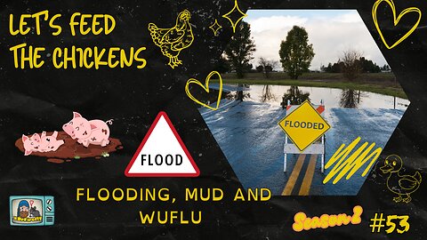 Flooding, Mud and Wuflu | Let's Feed the Chickens | E53