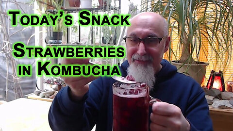 Today’s Snack: Strawberries in Kombucha [Food Eating ASMR]