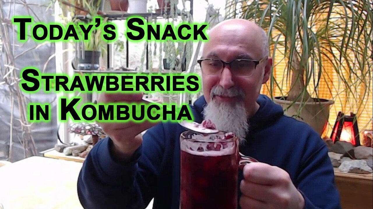 Today’s Snack: Strawberries in Kombucha [Food Eating ASMR]