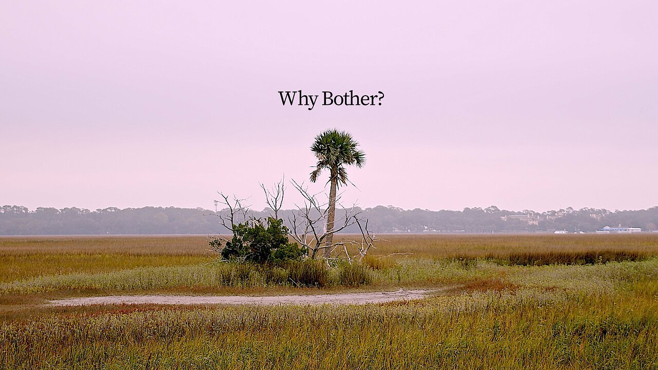 Jekyll Island Weather-Why Bother?