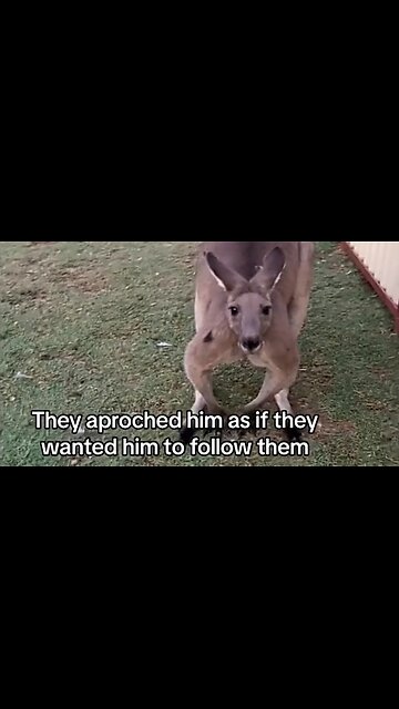 THE CALL TO SERVE - DAILY DEVOTIONAL ❤️