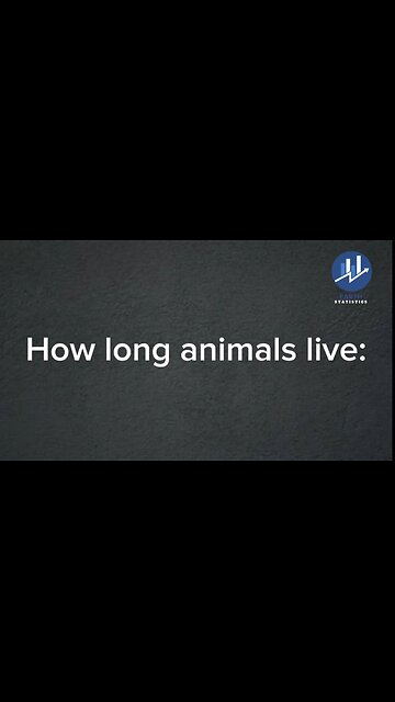 How long animals live...