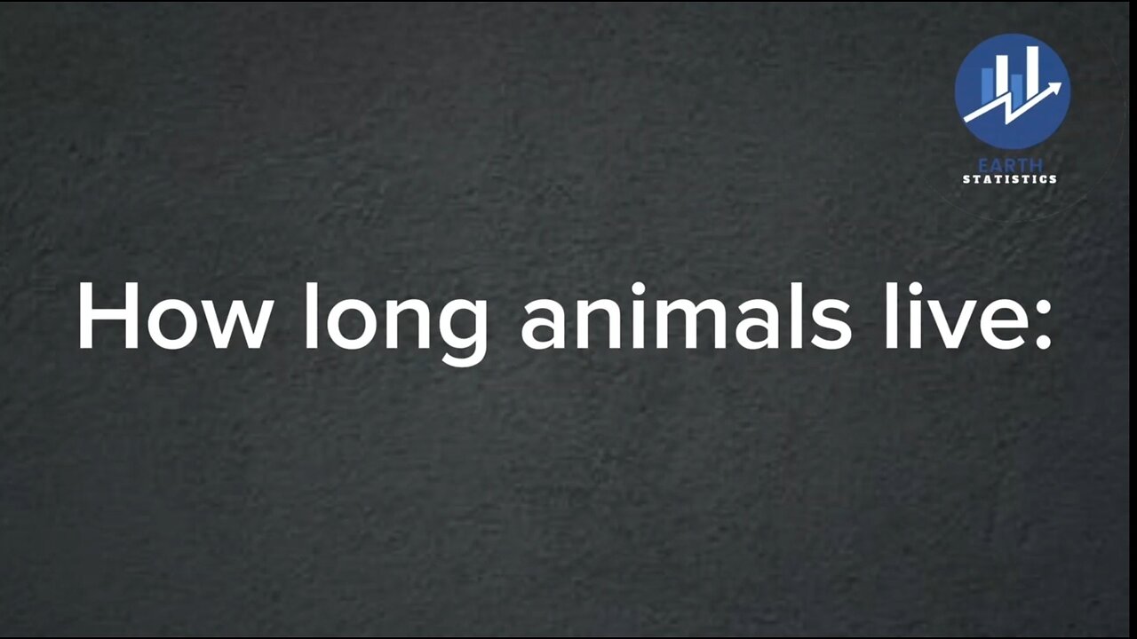 How long animals live...