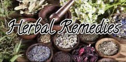 Herbal Remedies w/Trisha Jones