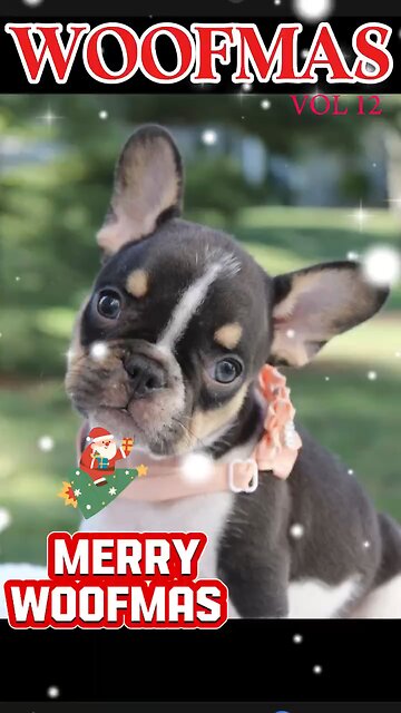 Woofmas