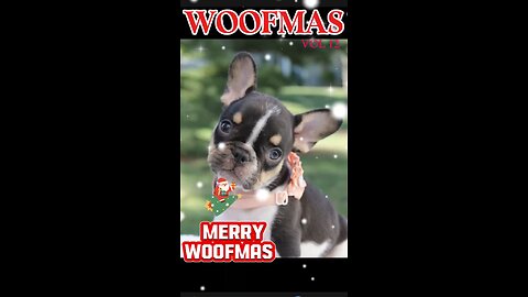 Woofmas