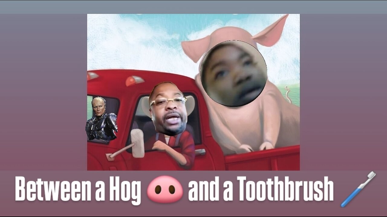 Between a Hog and a Toothbrush 🪥