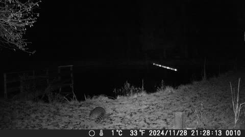 281124