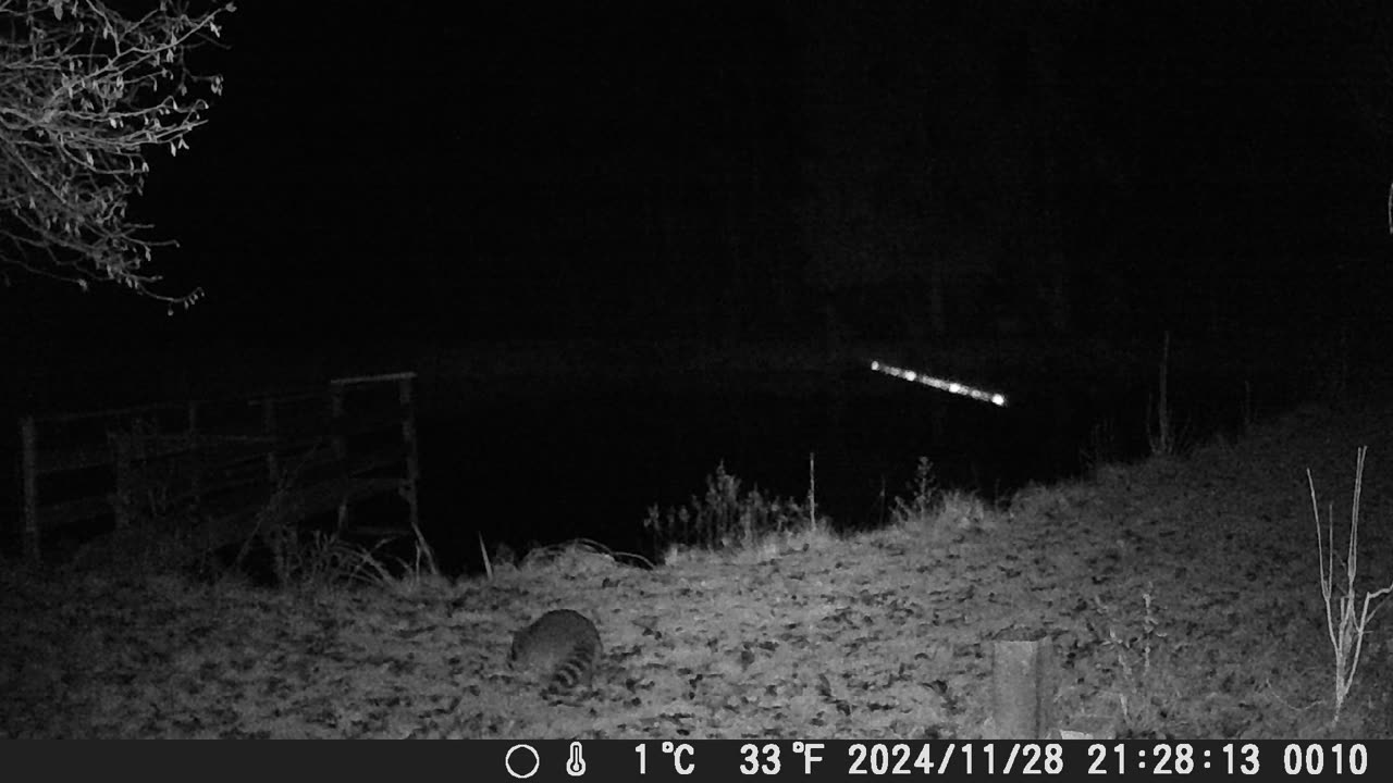 281124