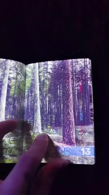 Latvian passport under UV light