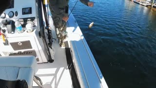 A Fish Bit Me _ Fishing for Snapper in Florida!