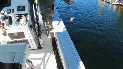 A Fish Bit Me _ Fishing for Snapper in Florida!