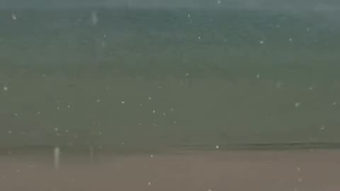 Snow Falls On Florida Beach