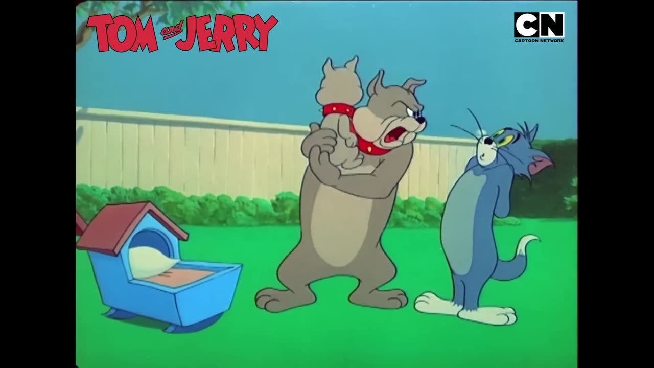 Funny Tom and Jerry_ The Clash of Claws and Paws!