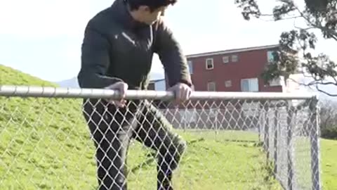 How Smart Animals Get Over a Fence!