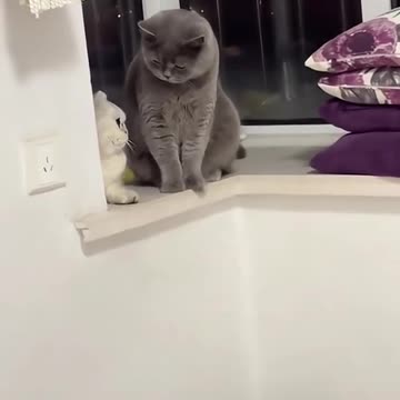 When you are a guest with your elder brother 🤣😛