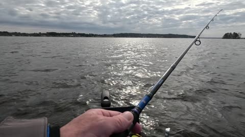 Lake Palestine Crappie December