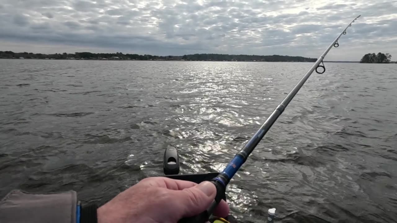 Lake Palestine Crappie December