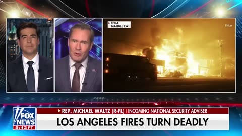 Trump is ready to clean up this mess: Rep. Michael Waltz