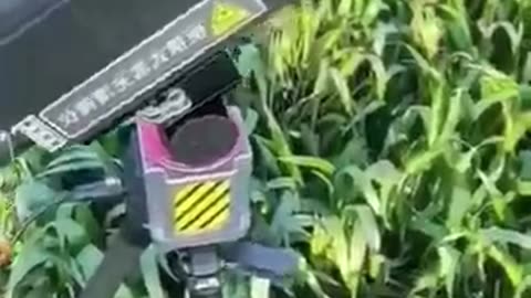 China’s Laser Technology Cuts Trees in Seconds!