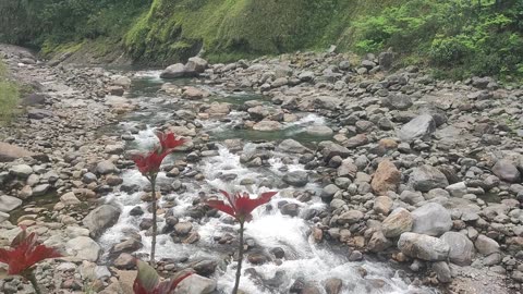 River Of Himalayans