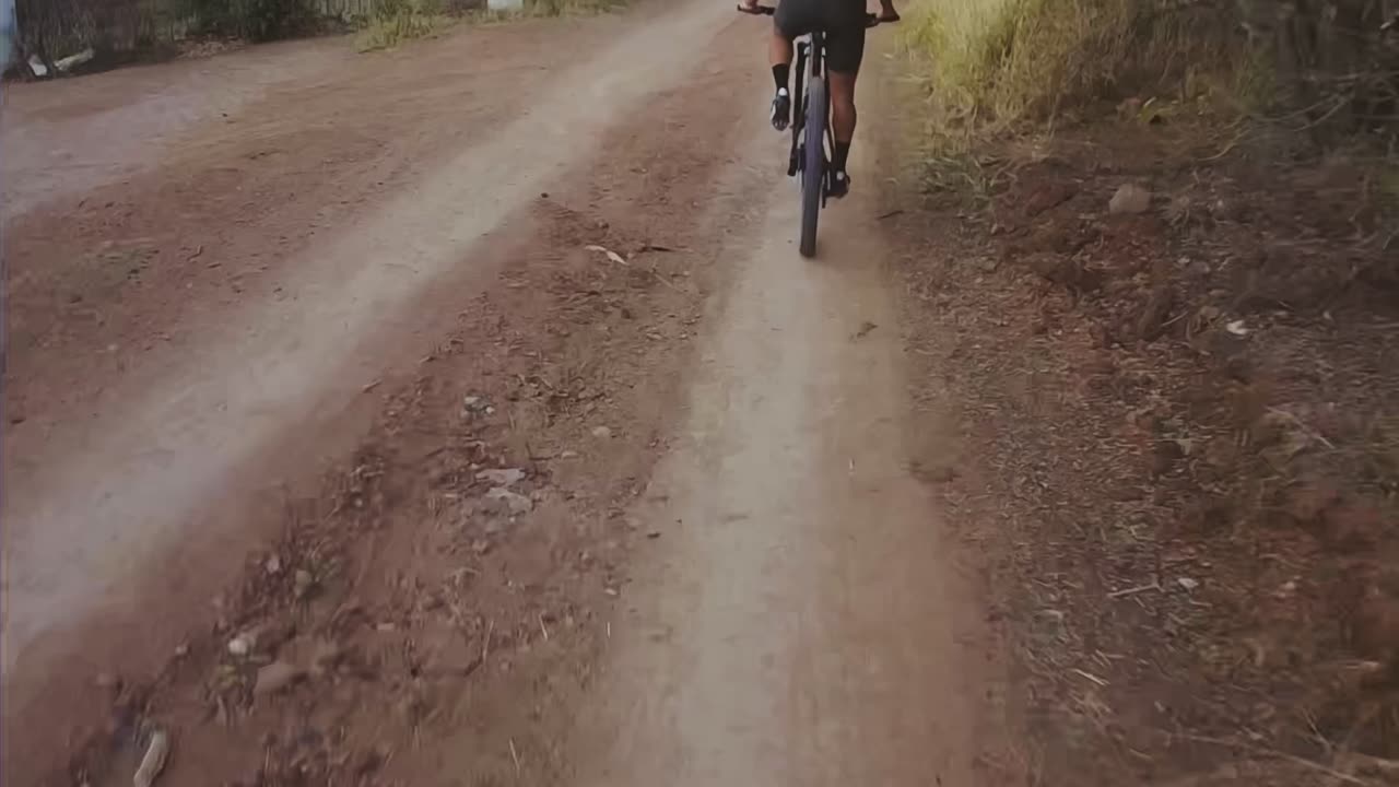 Stray Dog Catches Cyclist's Wheels