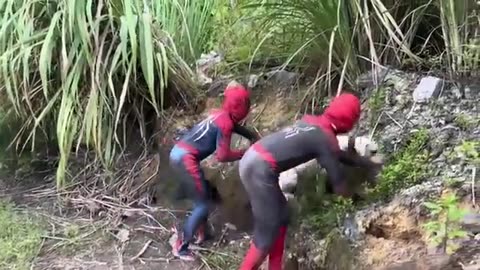 Spiders Hero